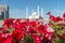 Hazrat Sultan Mosque in the background. Astana, Kazakhstan