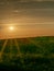 Hazy image of sunset with sunbeams and sun flare over green field