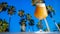 Hazy IPA Craft Beer in Teku Glass with Tropical Palm Trees and Blue Sky