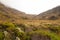 Hazy landscape with native alpine vegetation and grassland along the Routeburn Track New Zealand