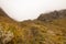 Hazy landscape with native alpine vegetation and grassland, Routeburn Track South Island New Zealand