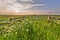 Hazy sunset over fence in dutch polder