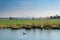 Hazy view on the skyline of Rotterdam seen from the polder