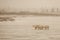 Hazy, Wintry Scene: Polar Bear and Cubs Crossing Frozen Lake