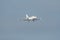 HB-IBJ Cat Aviation Dassault Falcon 2000LXS jet in Zurich in Switzerland