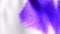 HD 1080 drip purple ink an organic flow, spreading and absorption