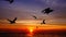 HD 1080p super slow seagulls fly beautiful full sunset sunlight sky beach background travel tourist.