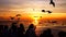 HD 1080p super slow seagulls fly beautiful full sunset sunlight sky beach background travel tourist.