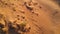 HD aerial video of dunes in the desert