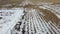 HD Drone Footage Of A Recently Harvested Field Covered In Snow