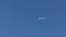 Hd video of an airplane flying in the blue sky