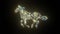 HD video animation of beautiful texture or pattern formation on the horse body shape, isolated on black background.