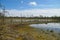 HDR image from the gloomy view of the Viru Raba bog with several