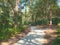 HDR Path through John Chestnut Park in Florida 2