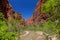 HDR Photo of a Lost Canyon in Zion National Park