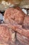 The head of the 48 foot long sleeping Buddha statue at the Pidurangala Temple at Sigiriya in Sri Lanka.