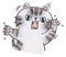 Head of Aggressive cat doodle Illustration digital clipart Cat emotion anger and claw