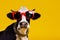 head animal face funny cute portrait character colourful sunglasses cow. Generative AI.