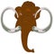 Head animal mammoth.Head of the mammoth on white background