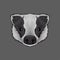 Head of badger, portrait of wild animal hand drawn vector Illustration