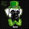 Head of a Boxer Dog and elements of St. Patricks Day. Vector illustration isolated on dark