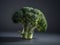 A head of broccoli on a black background, with a close-up of the florets and their vibrant green color