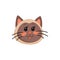 Head of brown kitten isolated cute emoticon cat