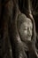 Head of Buddha Sandstone