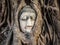 Head of Buddha Statue in the Tree Roots, Ayutthaya, Thailand