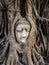 Head of Buddha Statue in the Tree Roots, Ayutthaya, Thailand