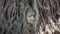 Head of Buddha statue in the tree roots at Wat Mahathat temple, Ayutthaya, Thailand