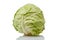 Head cabbage