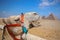 Head of a camel in profile close-up on the background of the Egyptian pyramids