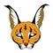 Head Caracal mask on white background