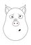 Head of clueless pig in outline style. Kawaii animal.