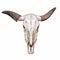 Head cow skull with horns isolate on white