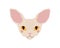 The head of a cute sphynx cat with large ears and yellow eyes. The stylized face of a purebred kitty. Vector