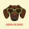 Head Dachshund dog in a geek glasses. Vector