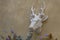 The head of a deer with horns hangs on a textured stucco wall. Garden figurine, decorative decoration.