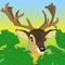 Head of a deer peeking out of green bushes in the forest, cartoon on a natural background