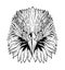Head of Eagle Black and White, Front View Eagle Head, Vector Illustration