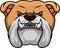 Head english bulldog mascot