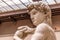 Head of a famous statue by Michelangelo - David from Florence,