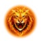 Head of fire lion.