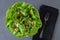 Head of fresh butter lettuce with sliced almond and dried cranberry salad topper, in a white bowl on a gray slate background, blac
