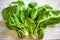 Head of fresh butter lettuce in a white bowl on a wood background