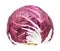 Head of fresh Radicchio Italian chicory isolated