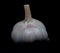 A head of garlic will drive away vampires and werewolves