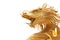 Head Golden dragon statue.