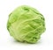 Head of green cabbage vegetable isolated